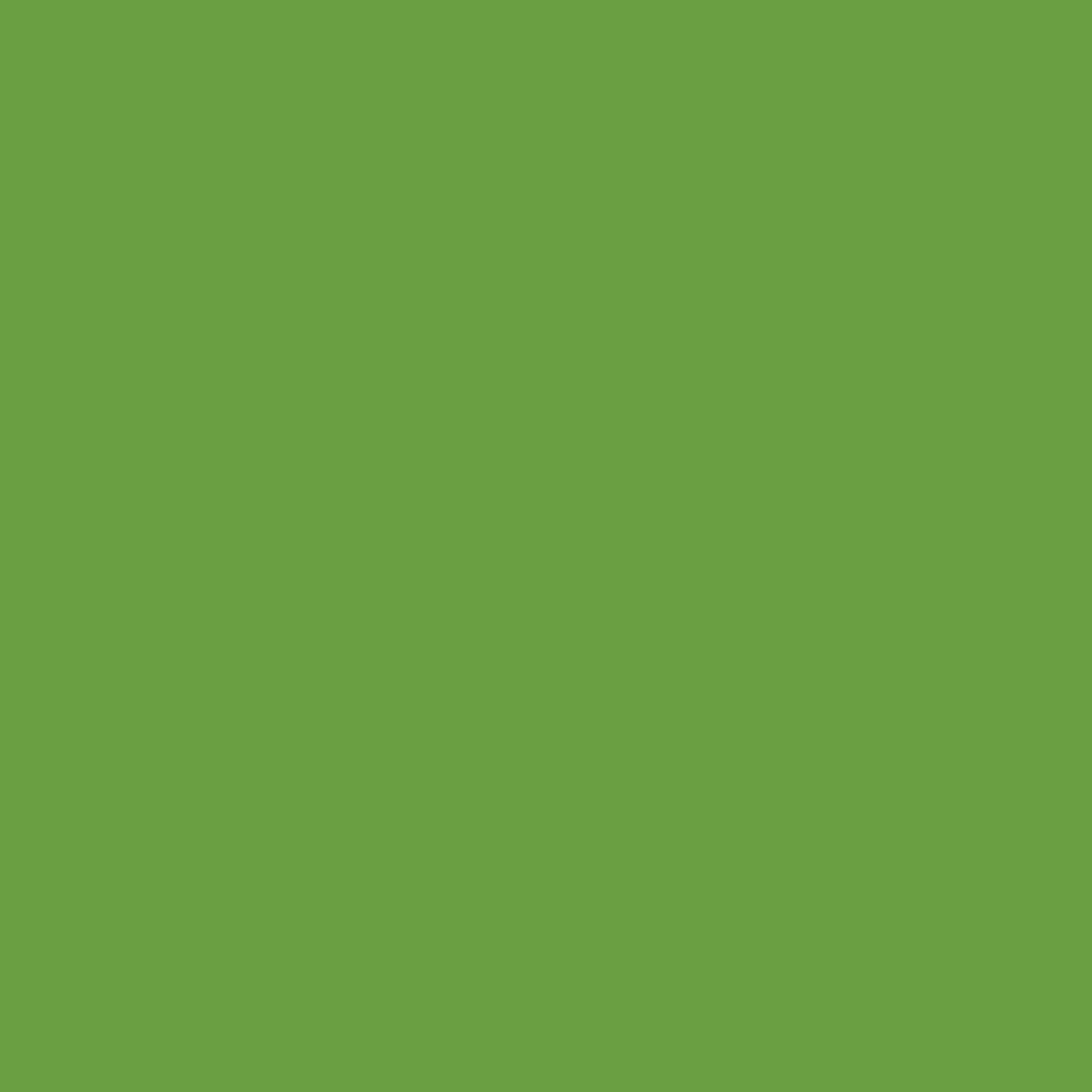 Liquitex Marker - Metallic Light Green
