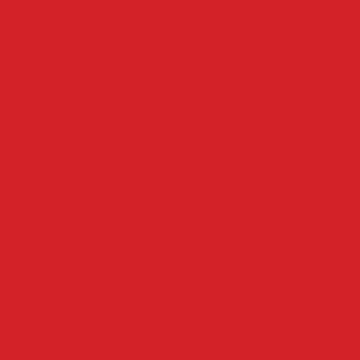 Professional Spray Paint - Cadmium Red Light Hue