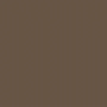 Professional Spray Paint - Raw Umber